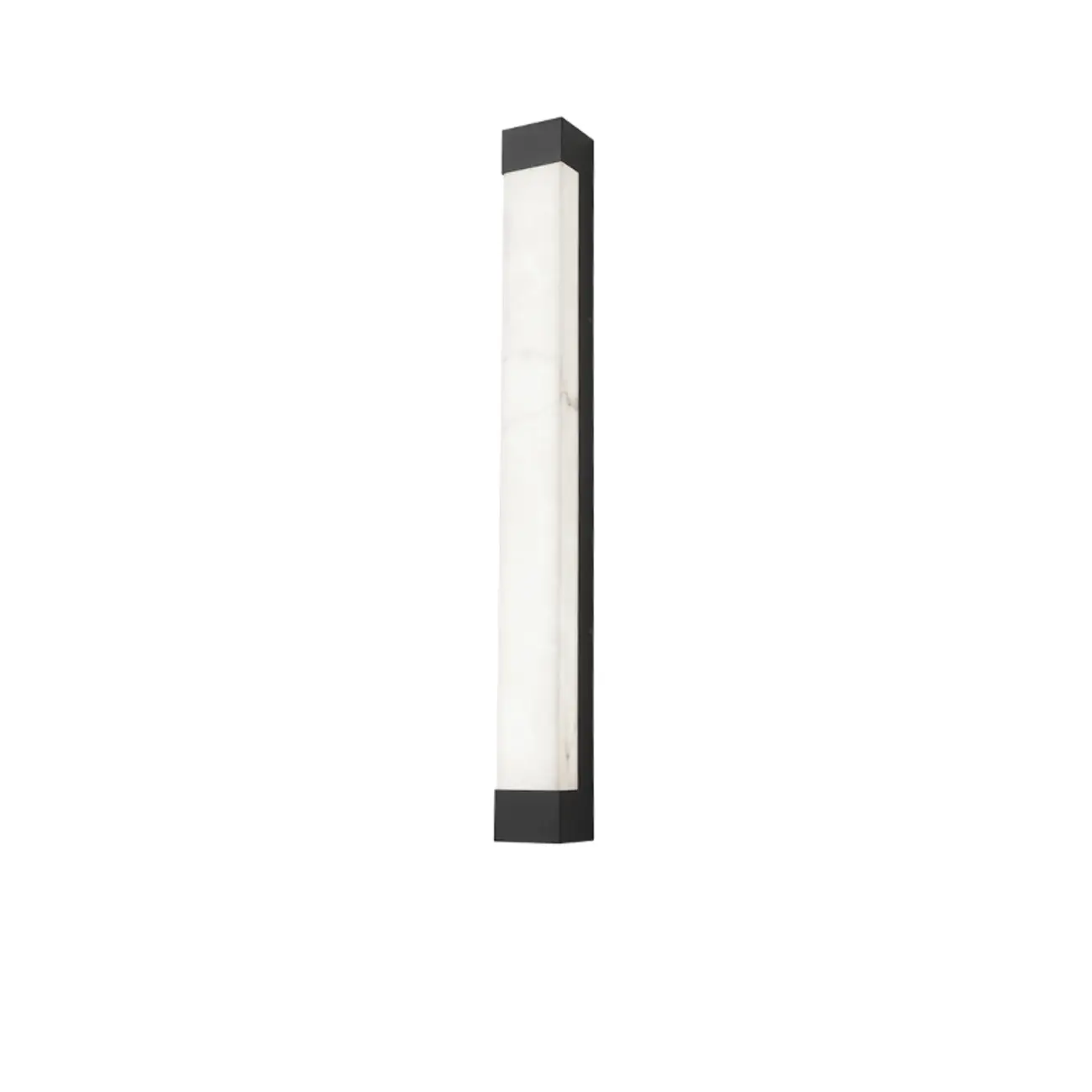 Outdoor Black Steel Wall Light with Polymer Shade Image - 11 | homeyfad