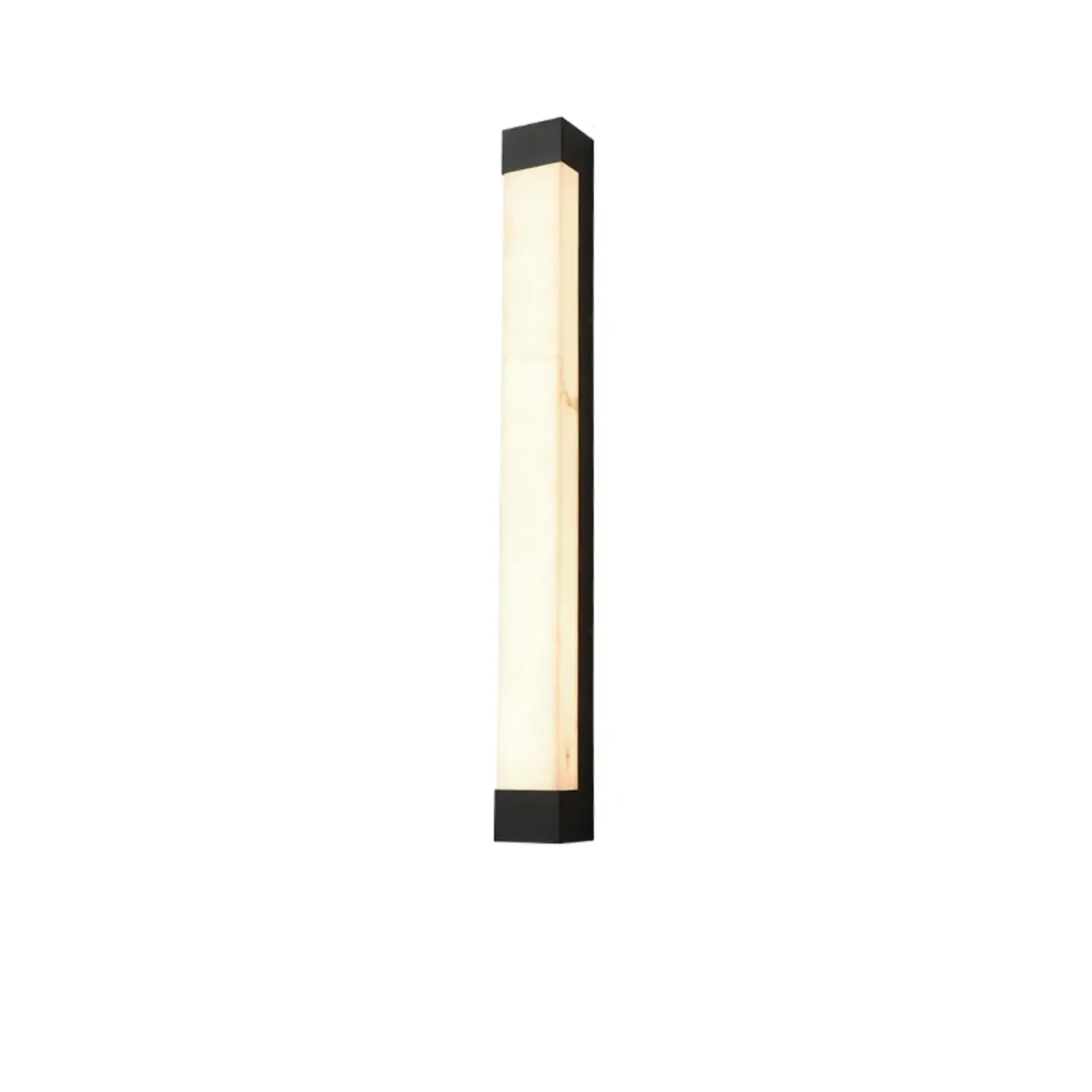 Outdoor Black Steel Wall Light with Polymer Shade Image - 12