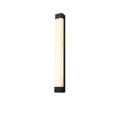 Outdoor Black Steel Wall Light with Polymer Shade Image - 12