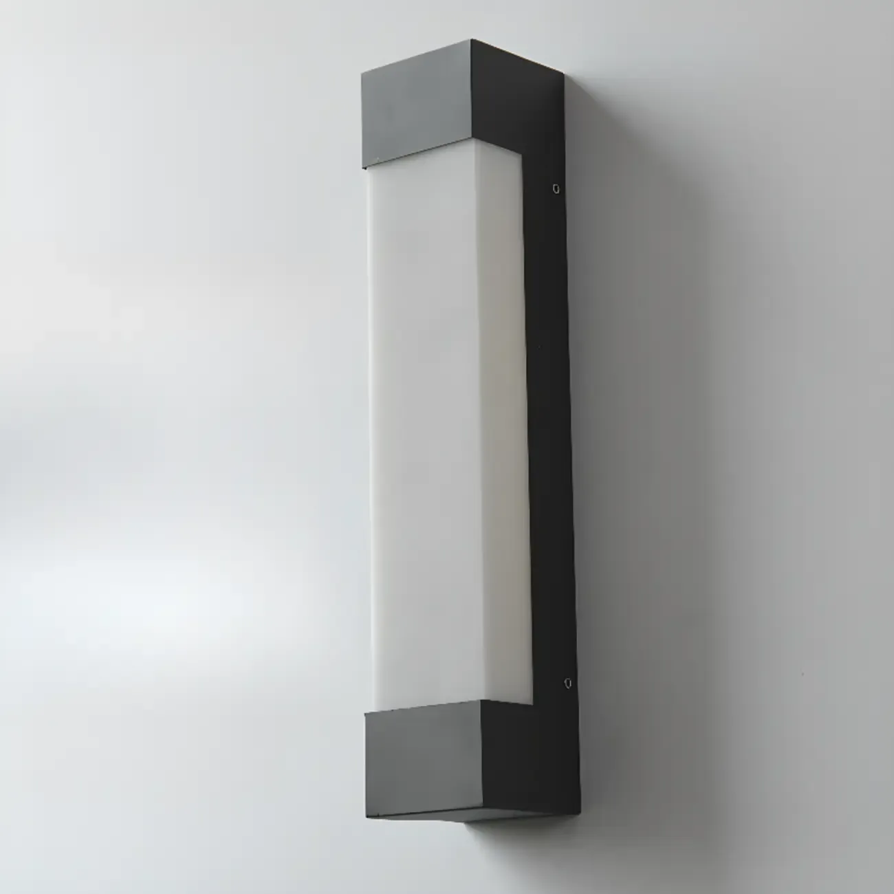 Outdoor Black Steel Wall Light with Polymer Shade Image - 13