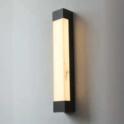 Outdoor Black Steel Wall Light with Polymer Shade Image - 14