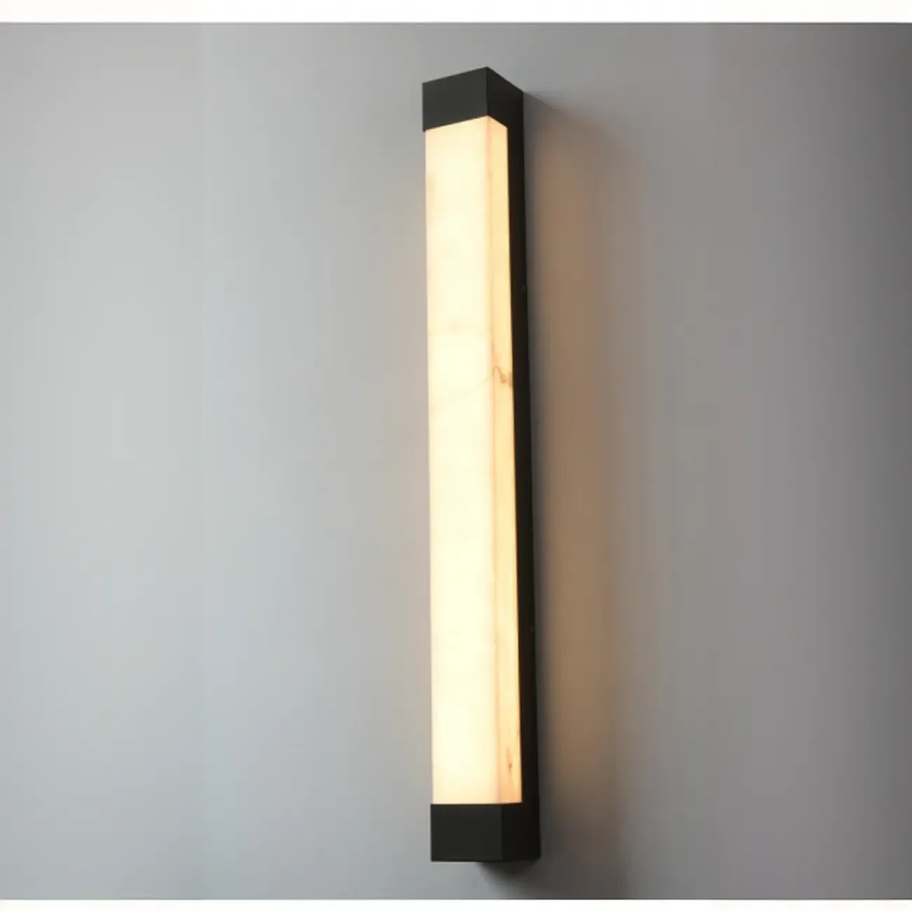 Outdoor Black Steel Wall Light with Polymer Shade Image - 15