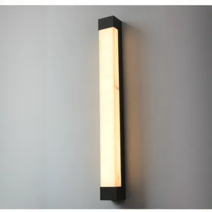 Outdoor Black Steel Wall Light with Polymer Shade Image - 15