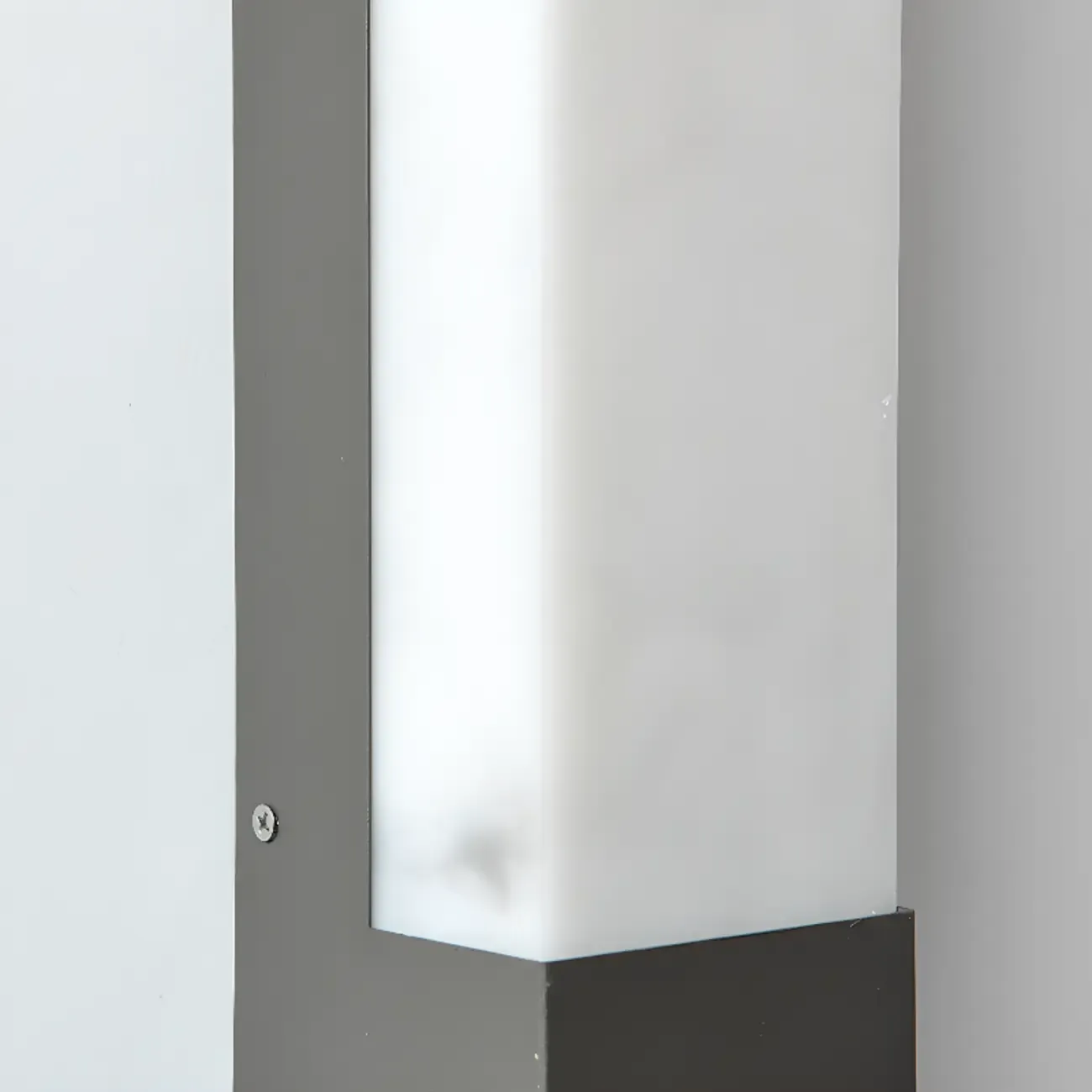 Outdoor Black Steel Wall Light with Polymer Shade Image - 18