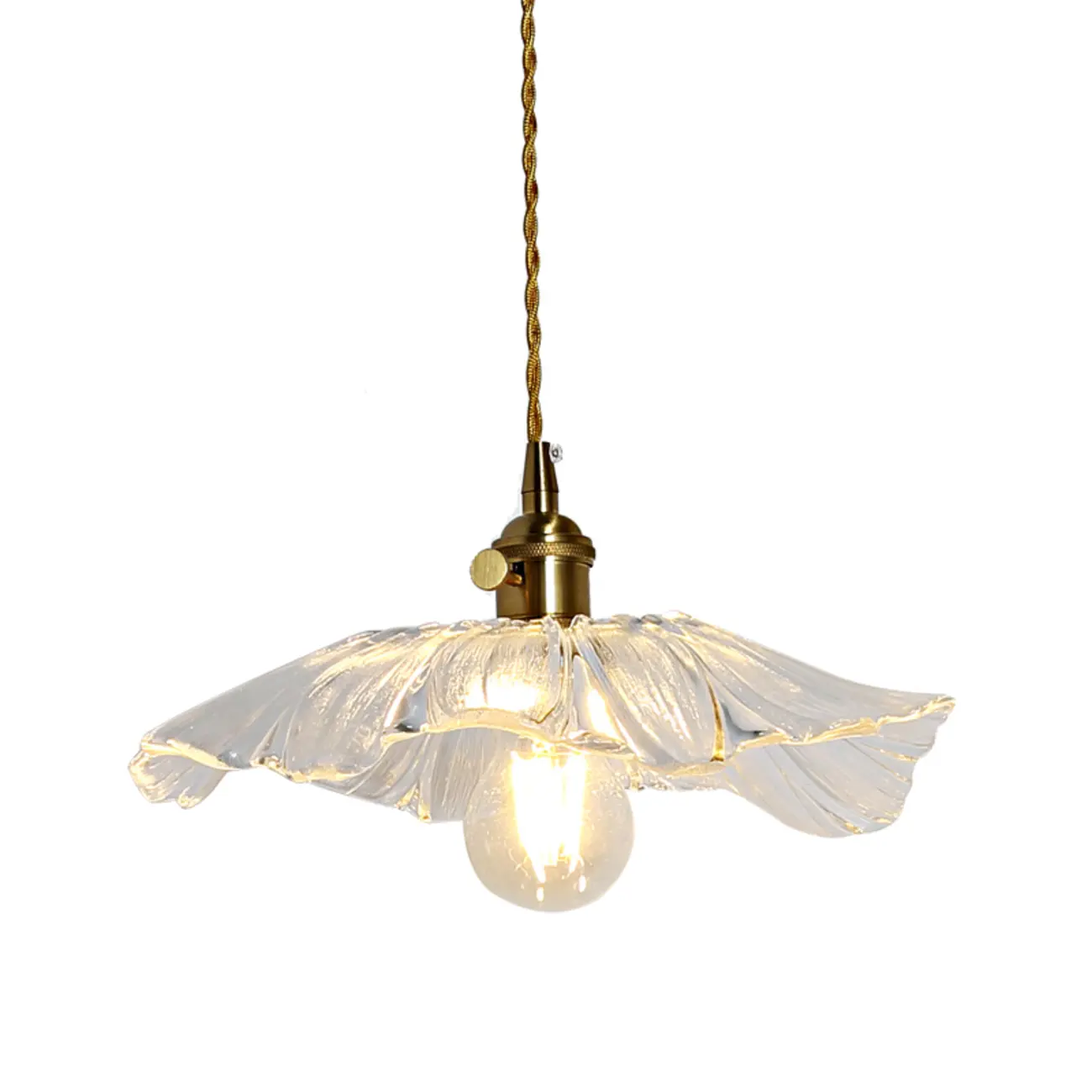 Modern Metal Hardwired Transparent Glass Floral Pendant Light Image - 9 | homeyfad