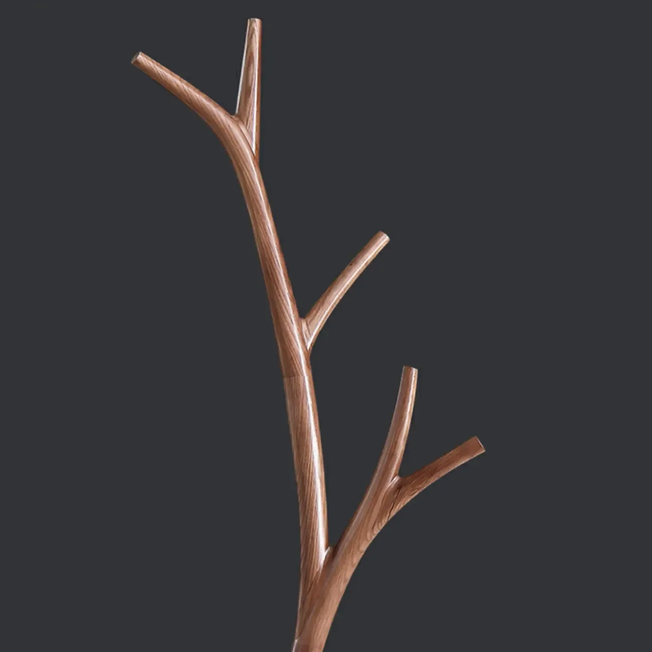 Freestanding Modern Wooden Tree-Shaped Coat Rack Image - 12