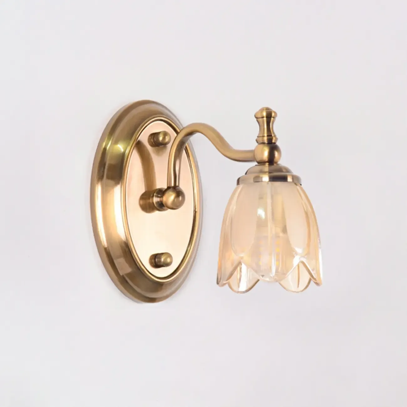 Contemporary Metal Vanity Light with Floral Glass Shade | HomeyFad