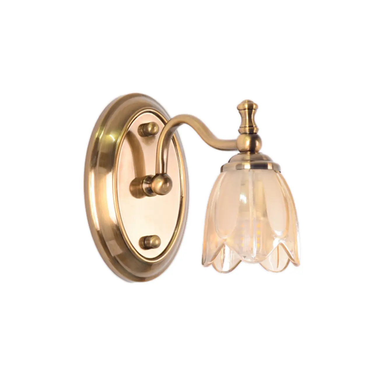 Contemporary Metal Vanity Light with Floral Glass Shade for Bedroom Decor Image - 6 | homeyfad