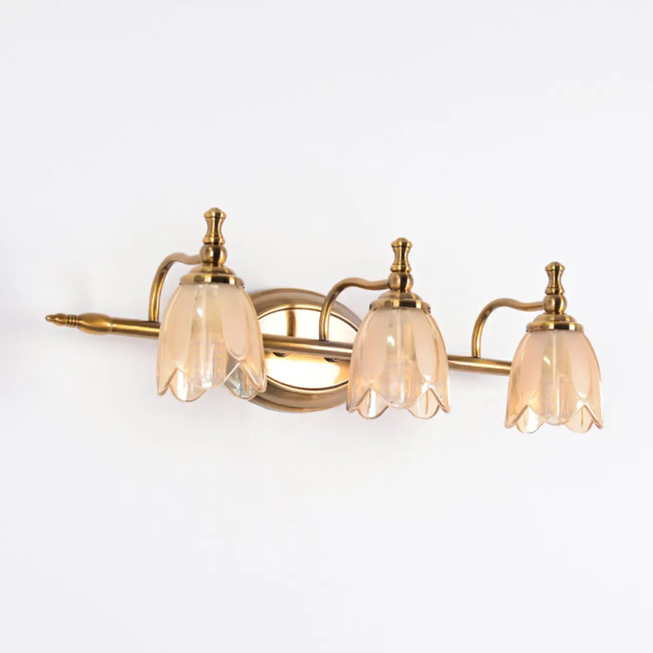 Contemporary Metal Vanity Light with Floral Glass Shade for Bedroom Decor Image - 15 | homeyfad