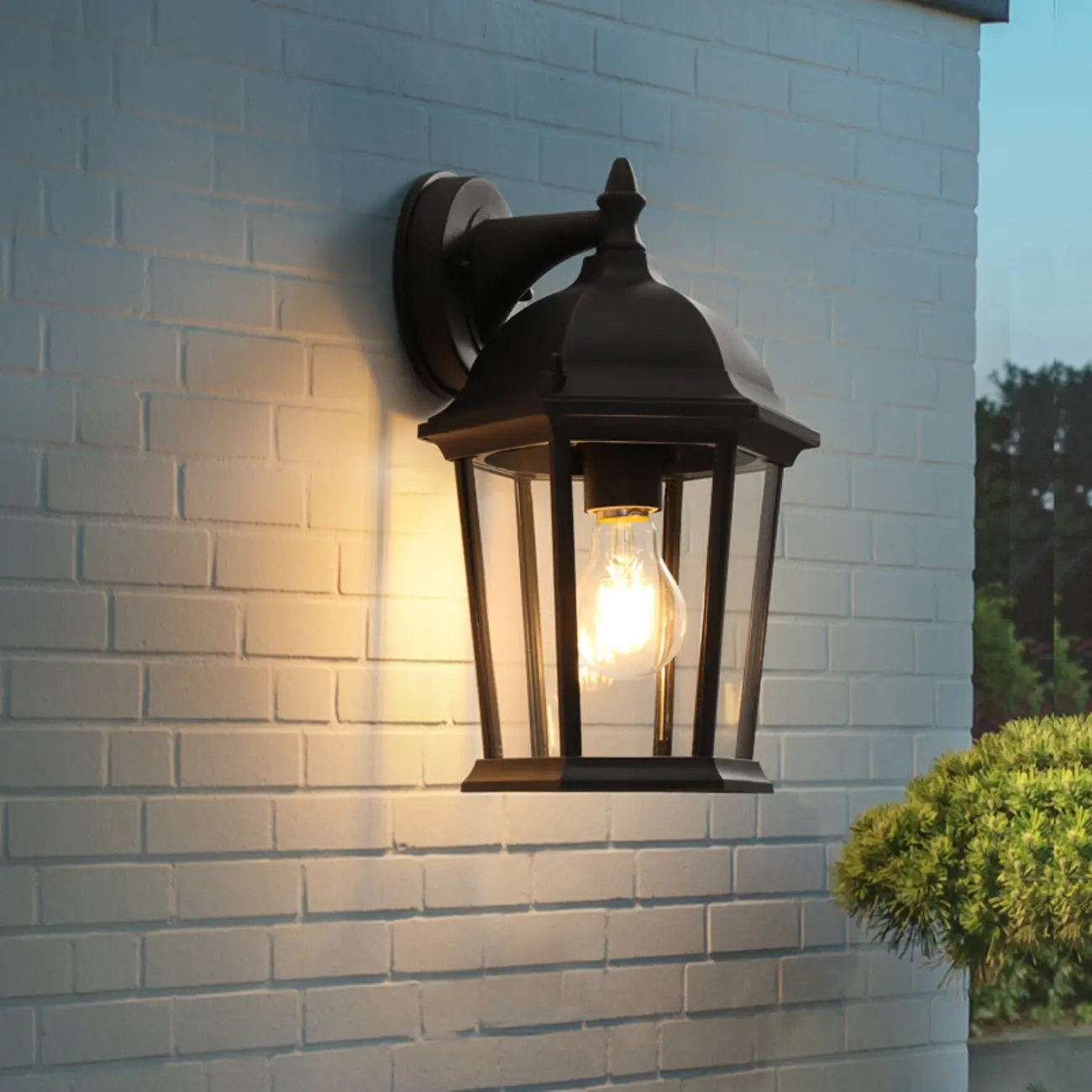 Industrial Cage Outdoor Black Wall Sconce Light  Image - 1 | homeyfad
