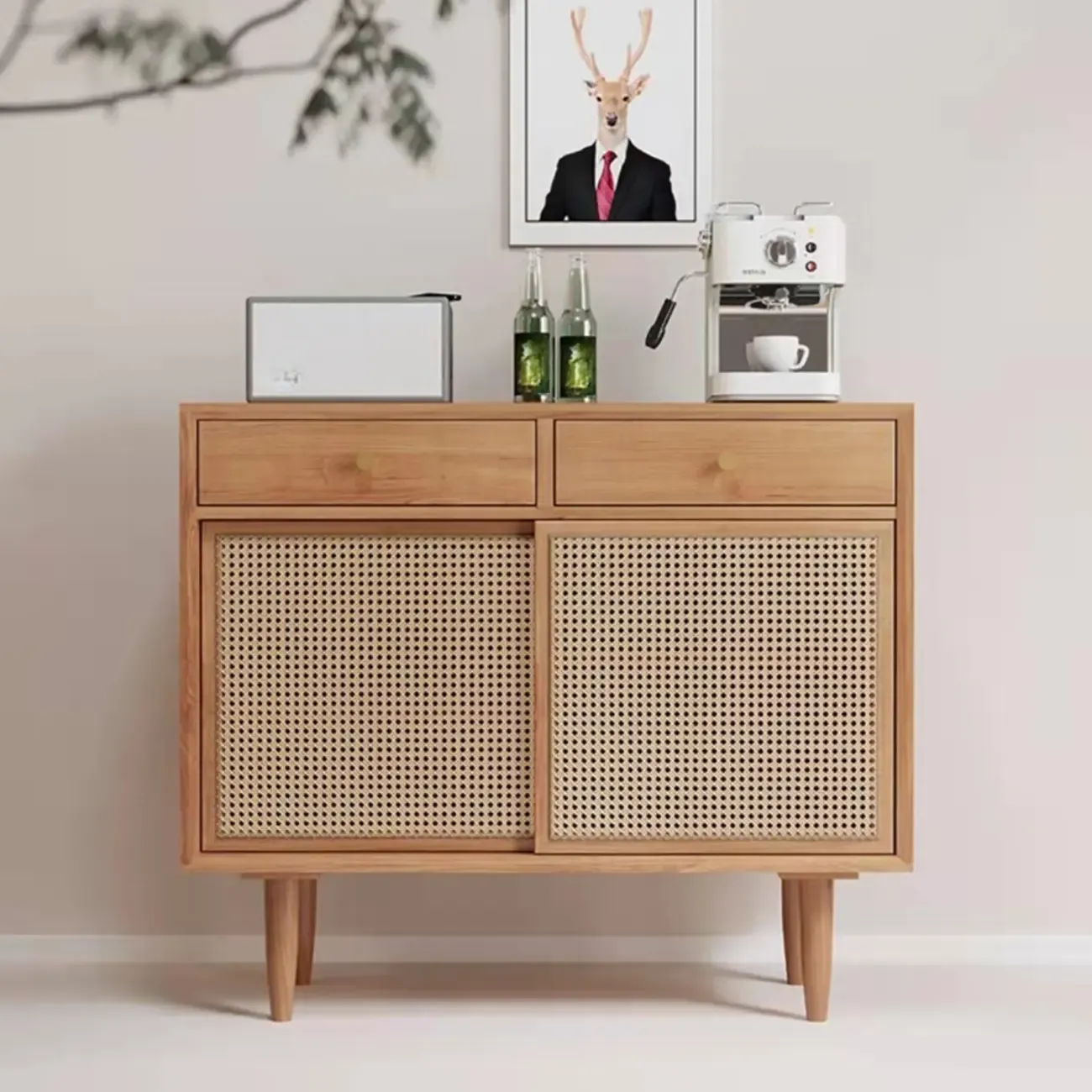 Nordic Freestanding Rattan Cabinet with Sliding Door | HomeyFad