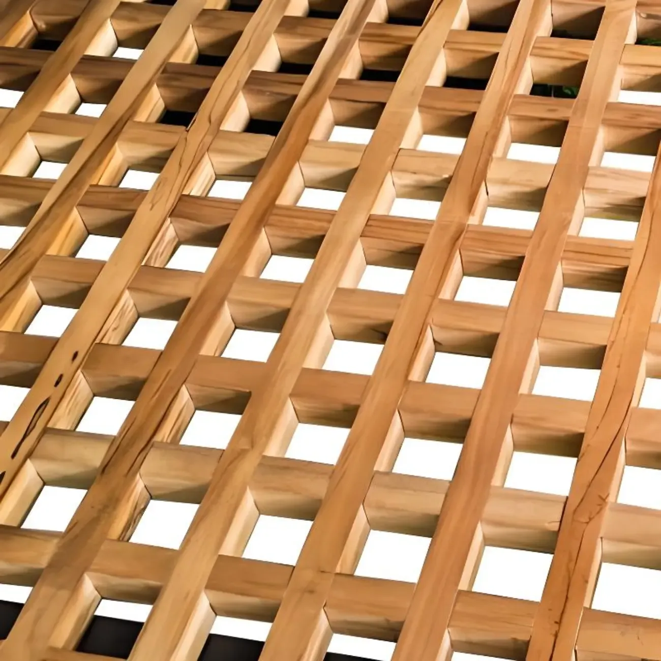 Modern Rattan WeavingOutdoor Sofa with Wood Base Image - 8