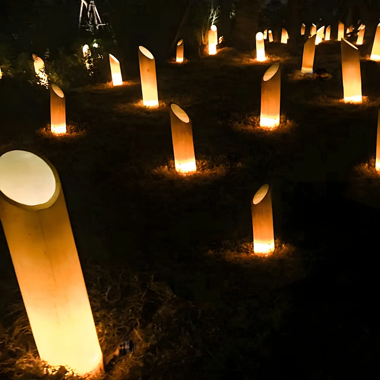 LED Green Bamboo Garden Light for Elegant Courtyard Illumination Image - 4 | homeyfad