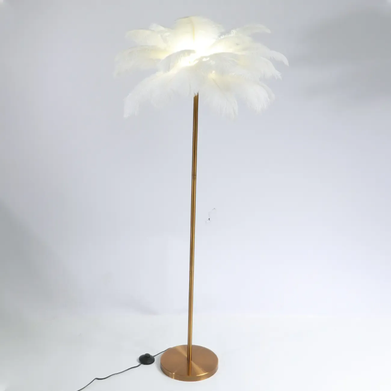 Stylish Feather Floor Lamp with Metal Base for Home Decor Image - 4