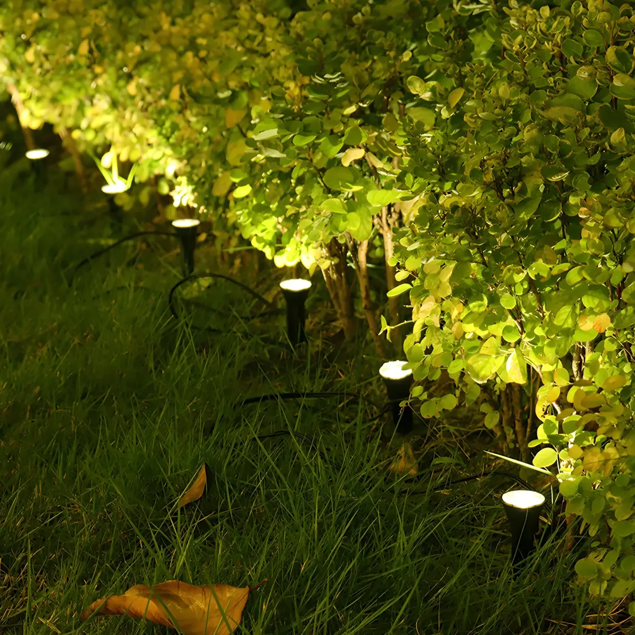 LED Solar Mini In-Ground Spotlight for Courtyard Garden - HomeyFad