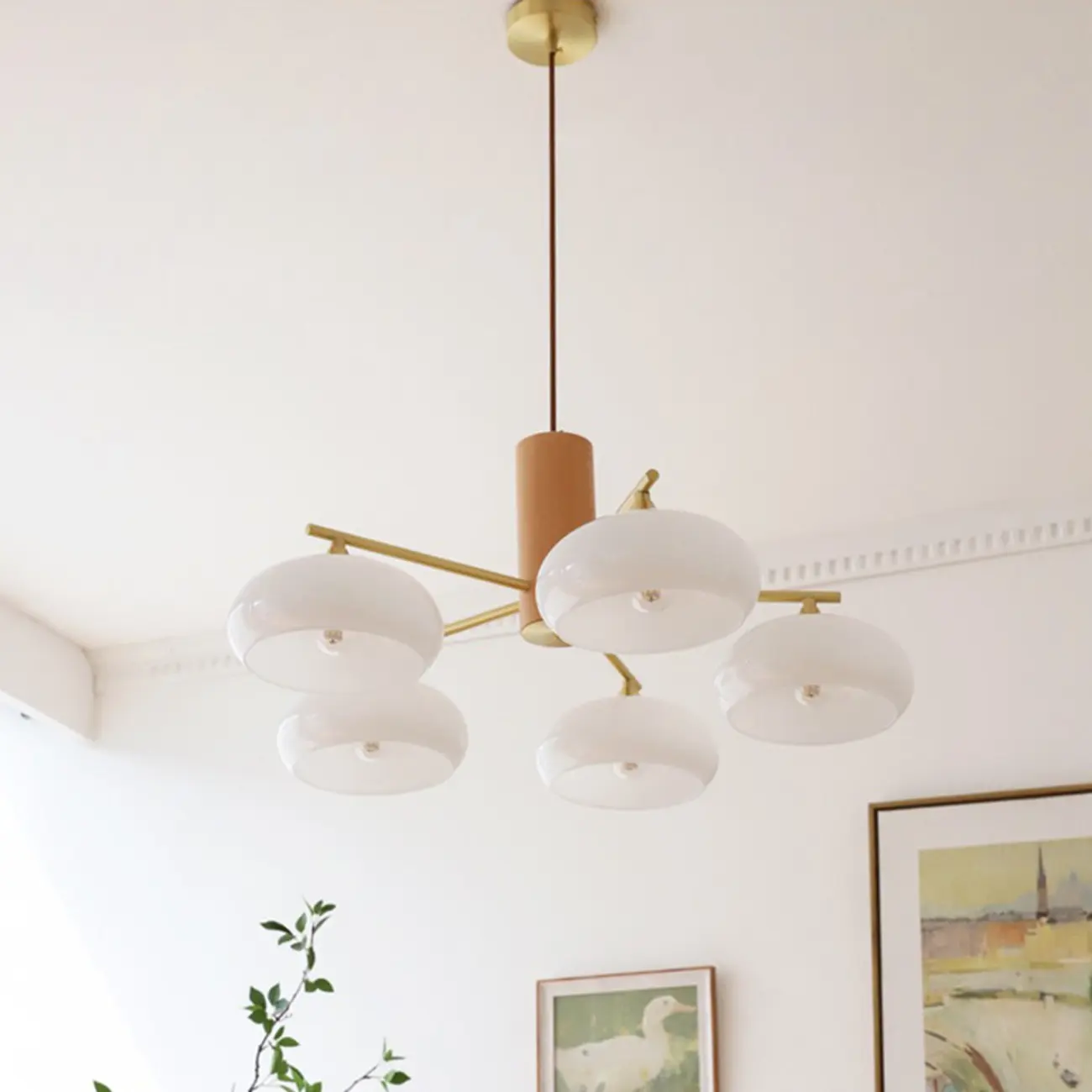 Modern Wood Pendant Chandelier with Glass Lampshade  Image - 7 | homeyfad