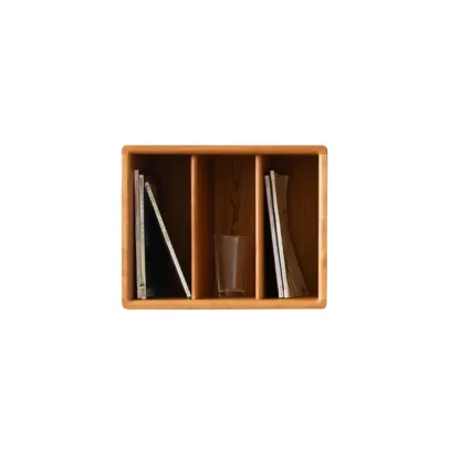 Modern Pine Rectangular Accent Cabinet for Home Display Image - 17