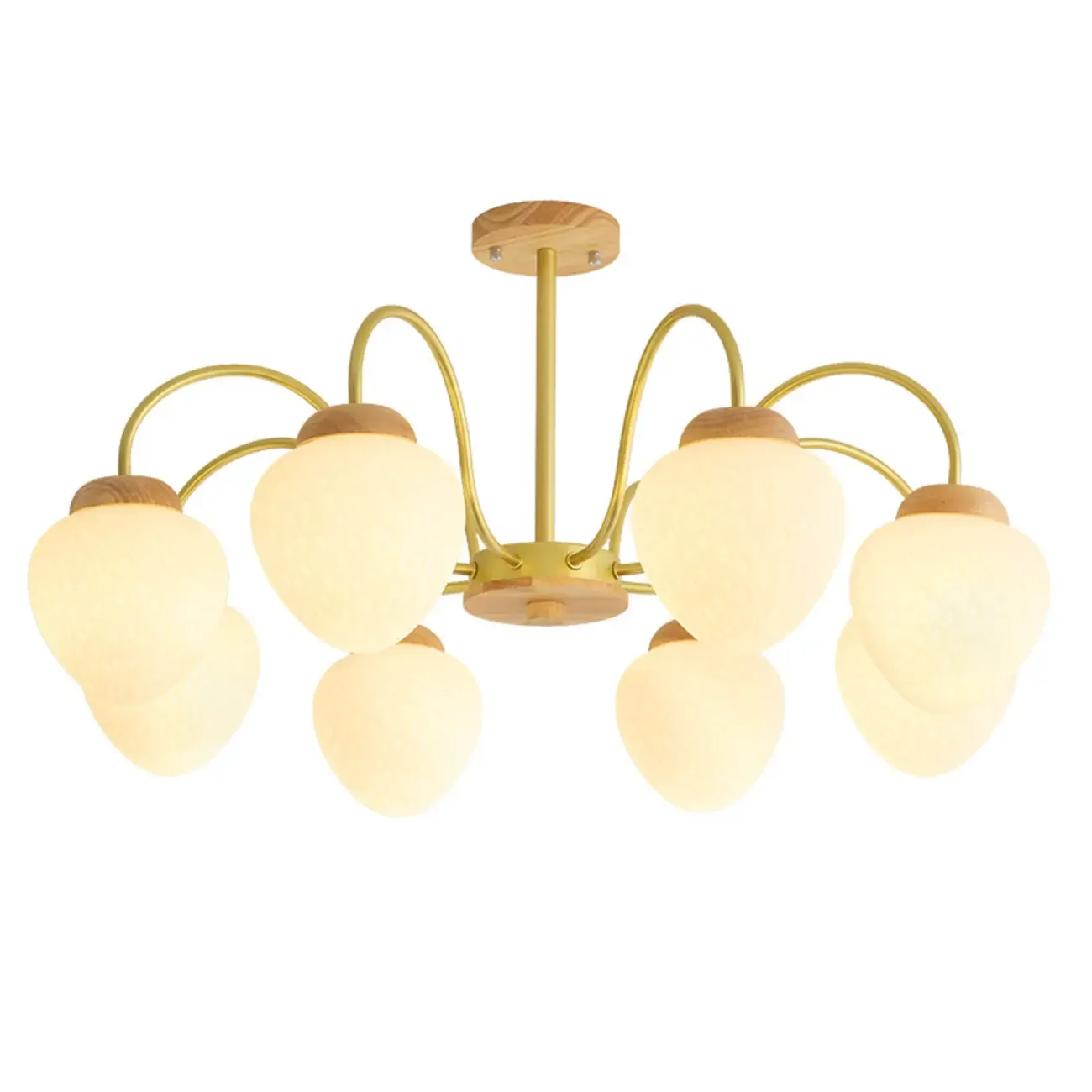 3/5/8-Light Modern Globe Ceiling Chandelier with Glass Shades Image - 5