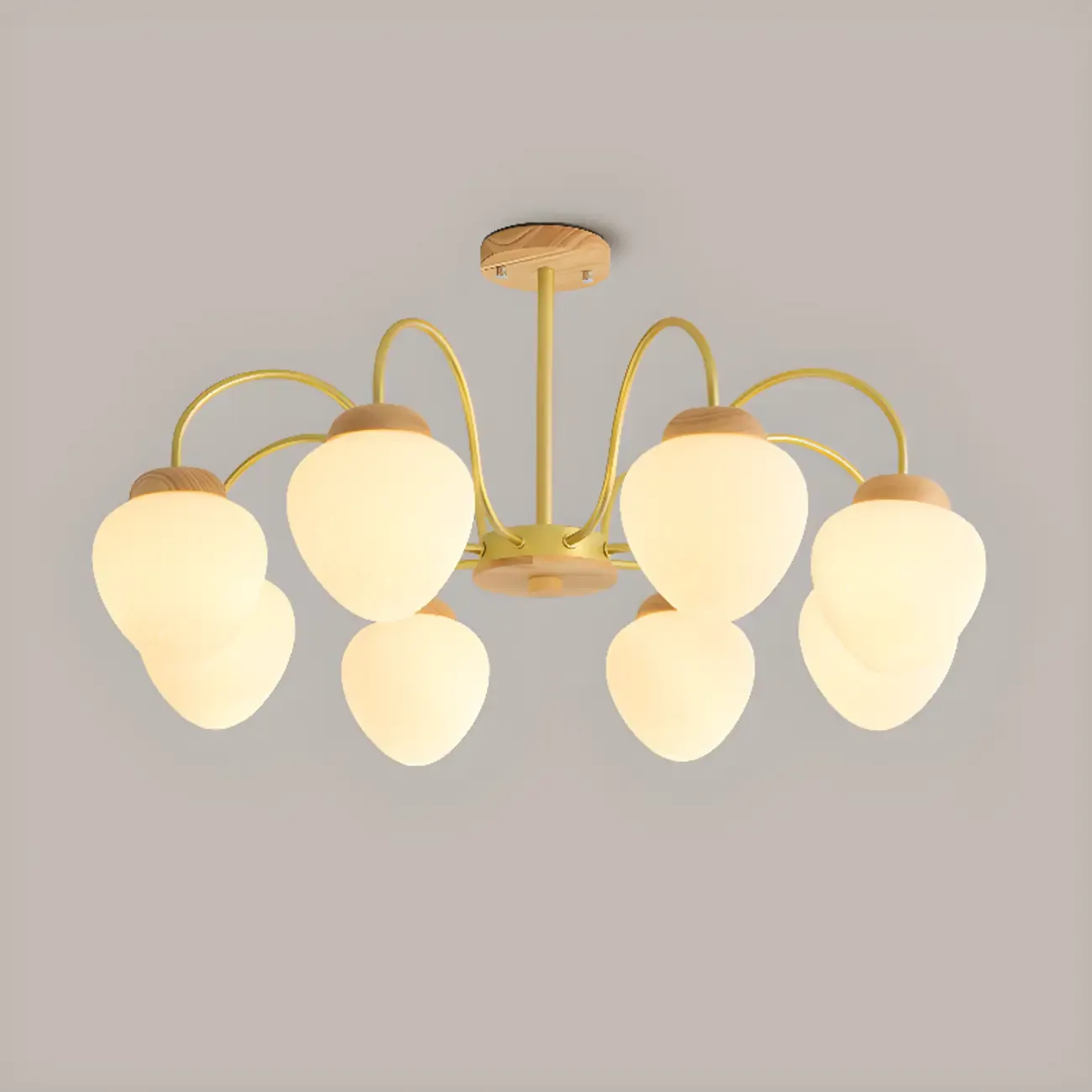 3/5/8-Light Modern Globe Ceiling Chandelier with Glass Shades Image - 8