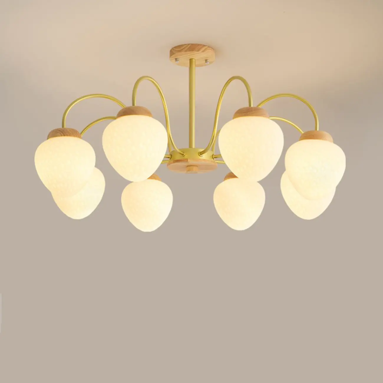 3/5/8-Light Modern Globe Ceiling Chandelier with Glass Shades Image - 10 | homeyfad