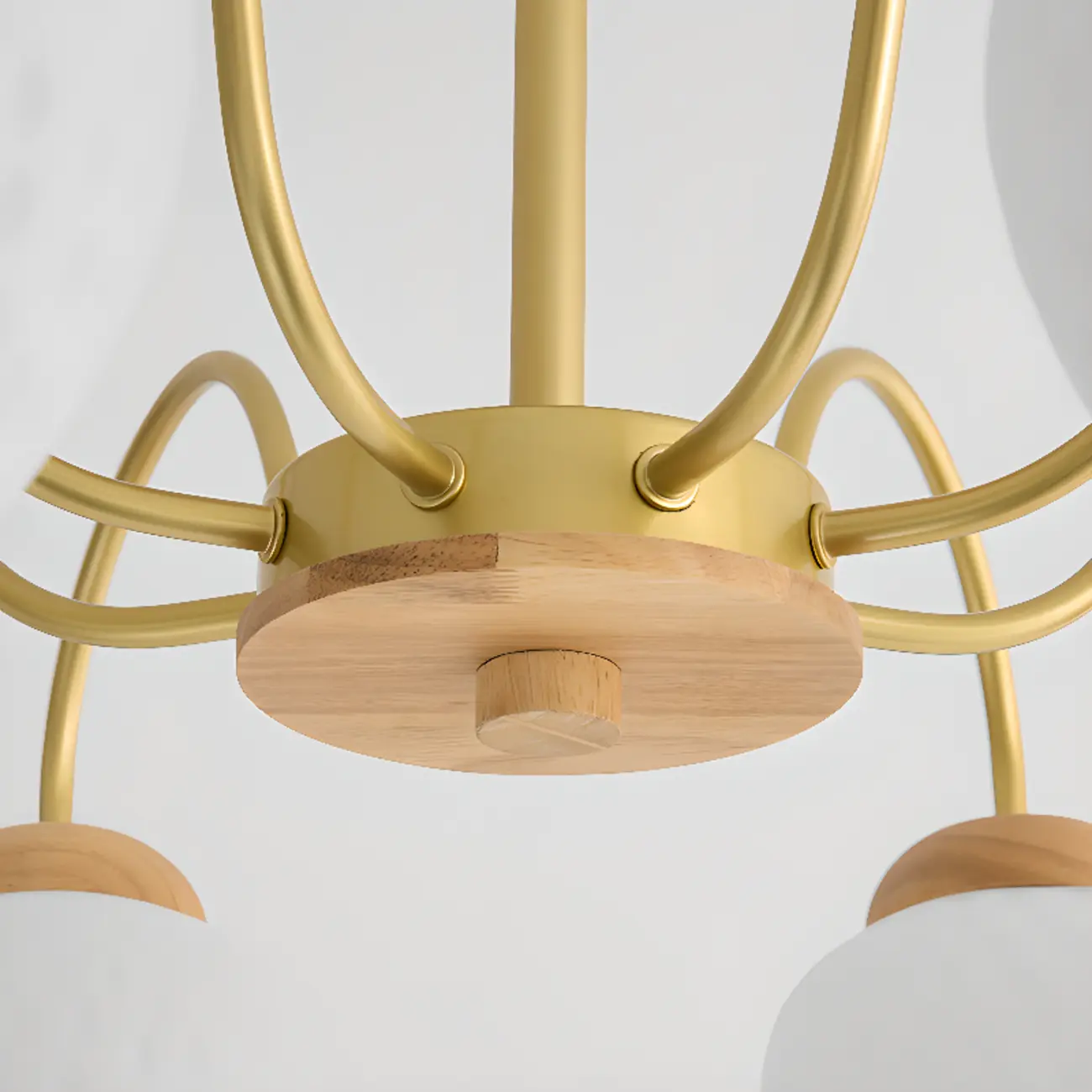 3/5/8-Light Modern Globe Ceiling Chandelier with Glass Shades Image - 11 | homeyfad