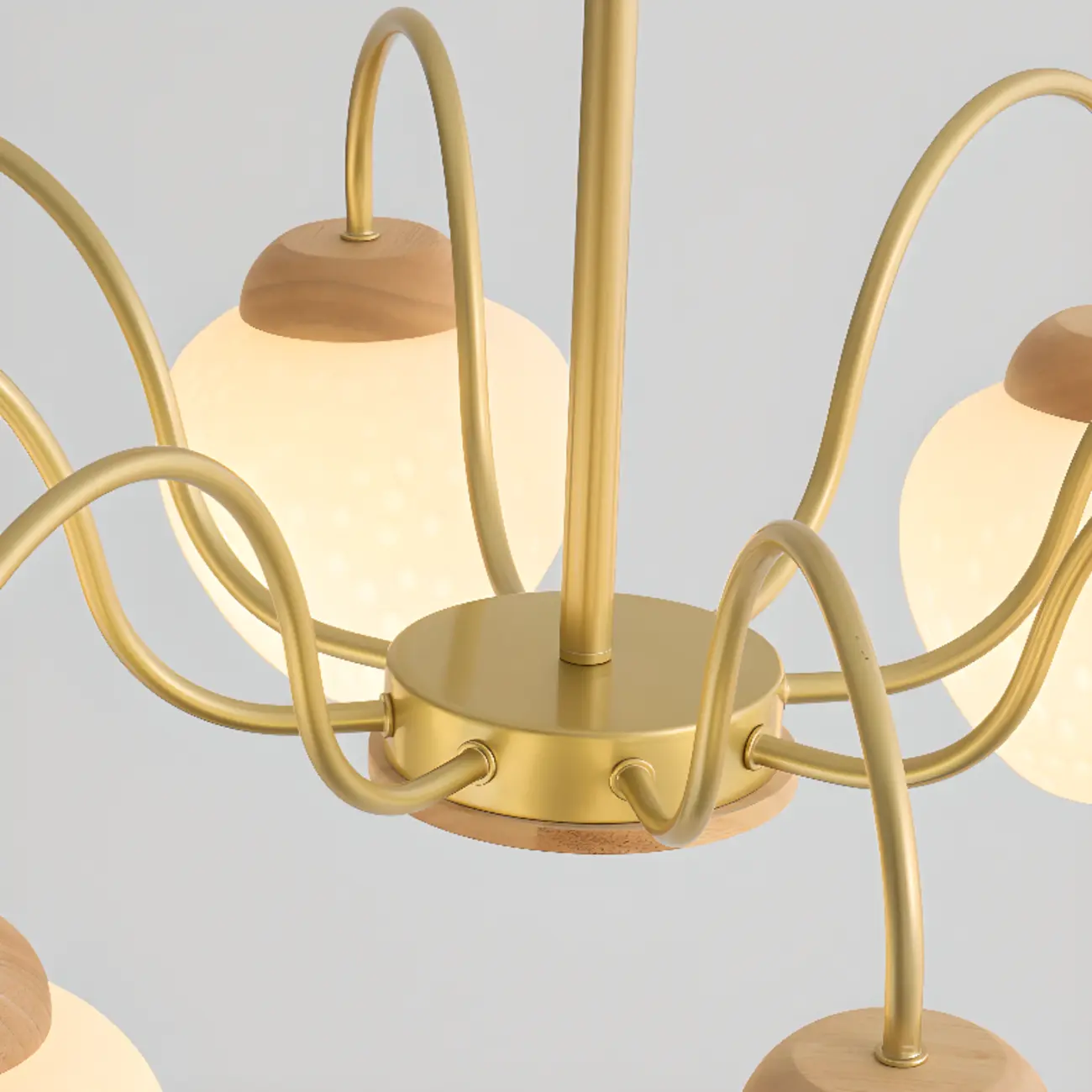 3/5/8-Light Modern Globe Ceiling Chandelier with Glass Shades Image - 12 | homeyfad