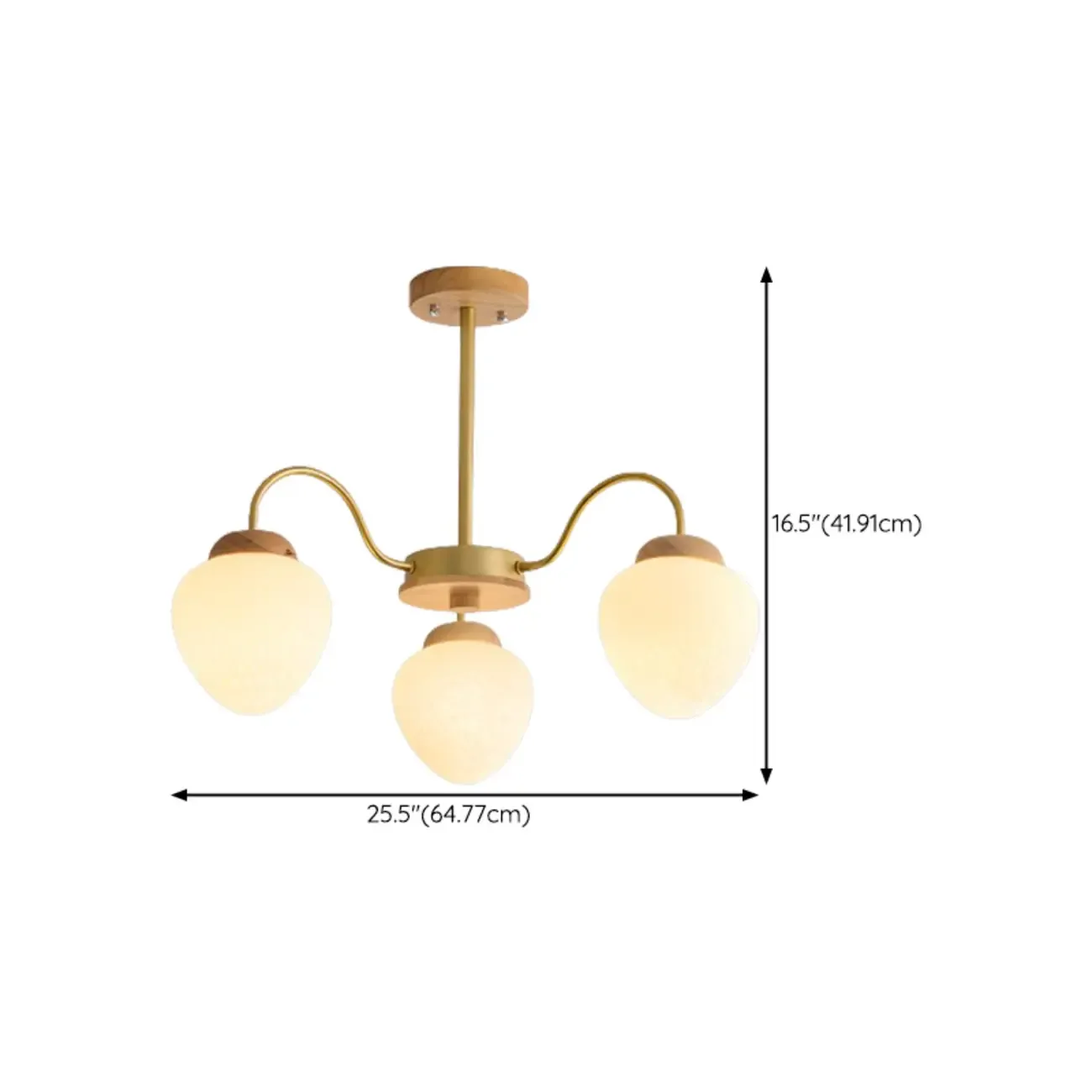 3/5/8-Light Modern Globe Ceiling Chandelier with Glass Shades #size