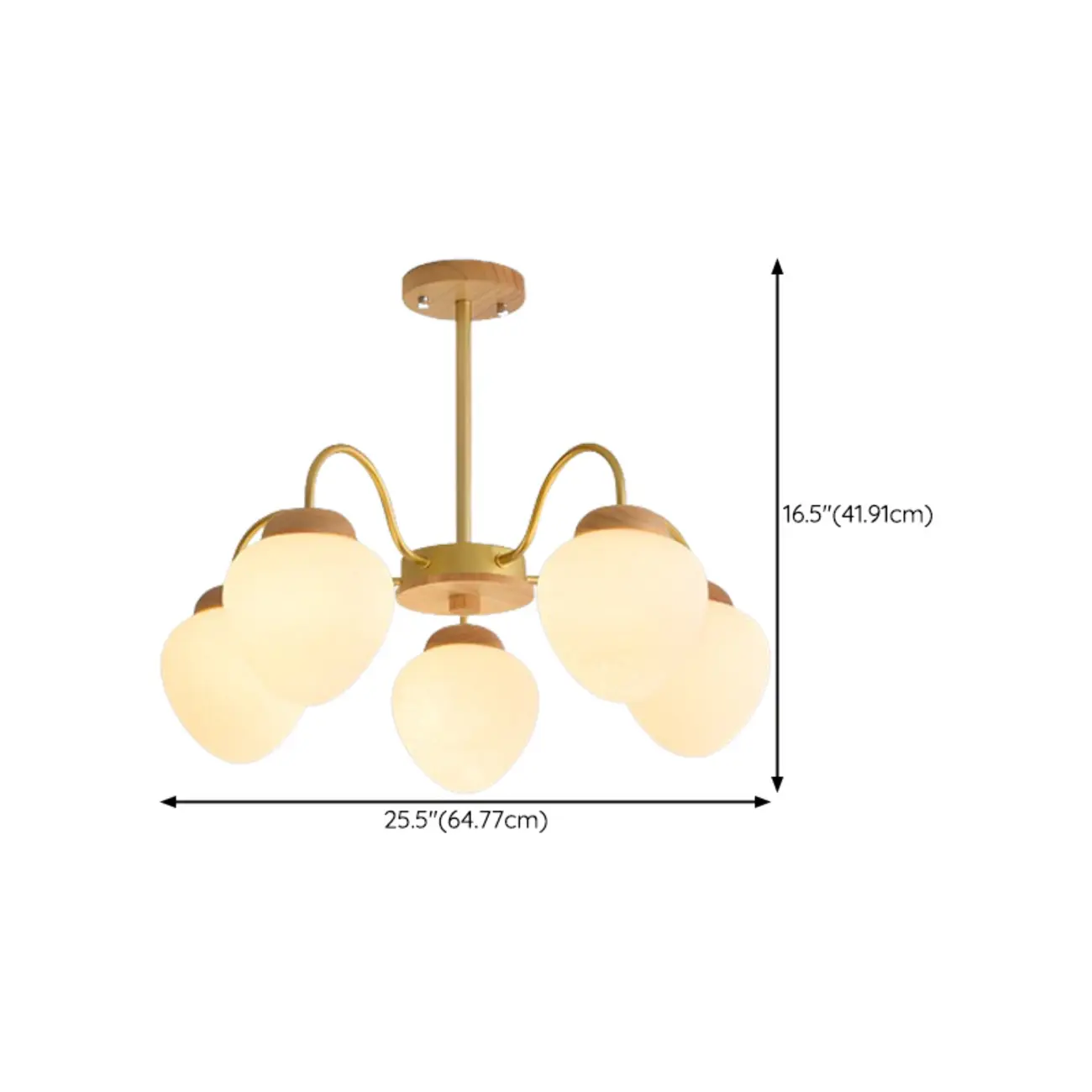 3/5/8-Light Modern Globe Ceiling Chandelier with Glass Shades Image - 16 | homeyfad