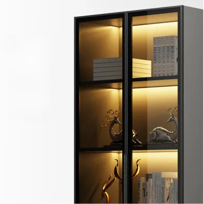 Modern Display Rack Bookshelf with Glass Doors and LED Lighting Image - 10
