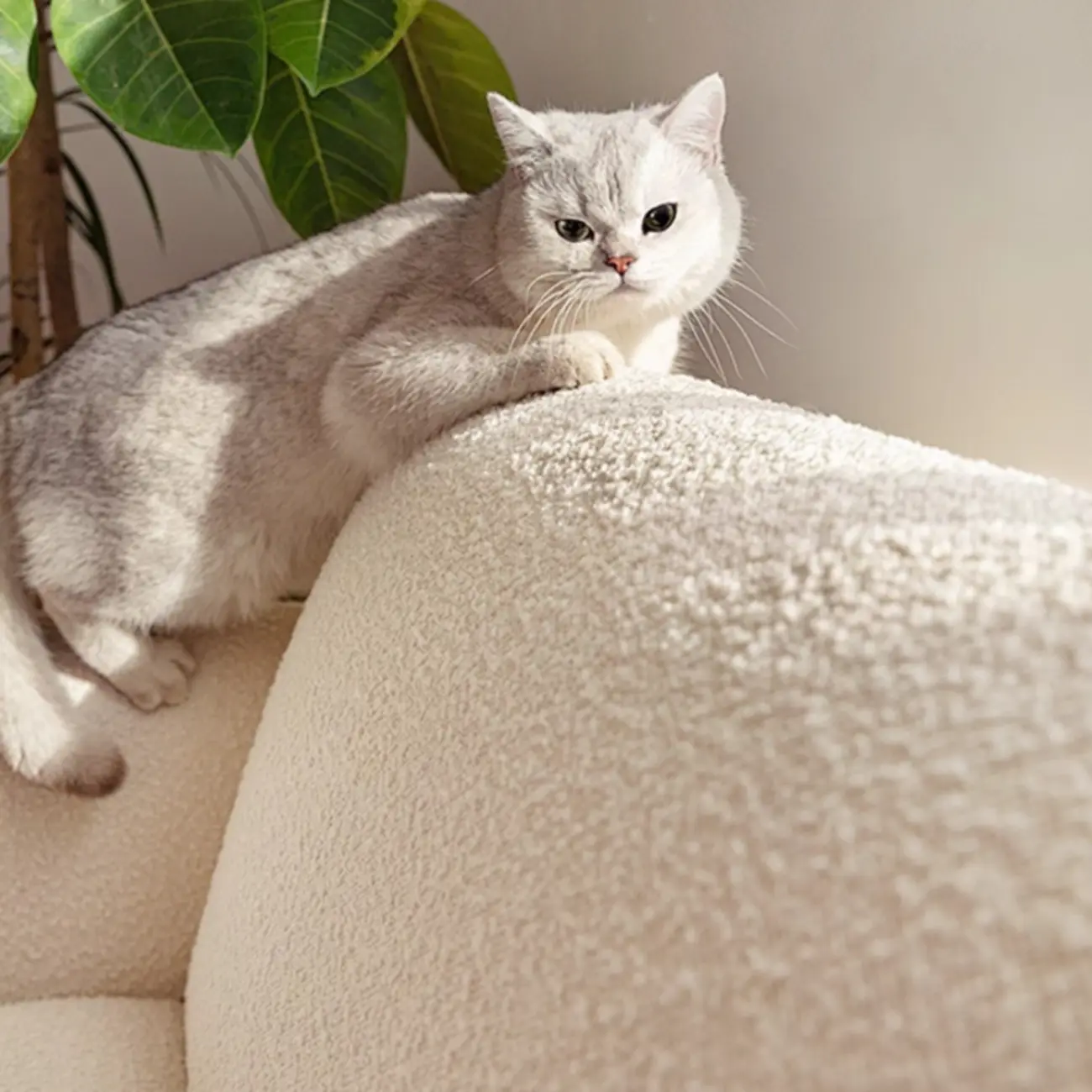 Cotton Linen Beige Foldable Sleeper Sofa