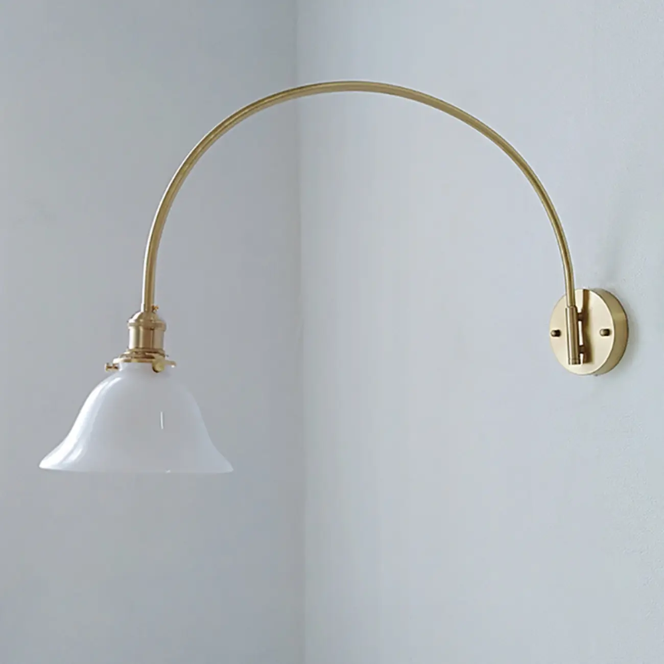 15 to 19 Inch Swing Arm Wall Light for Living Room Decor Image - 10 | homeyfad
