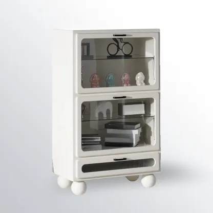 Modern Freestanding Accent Cabinet for Rectangular Shape Image - 6