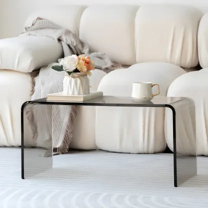 Simple Modern Acrylic Rectangular Coffee Table Image - 7