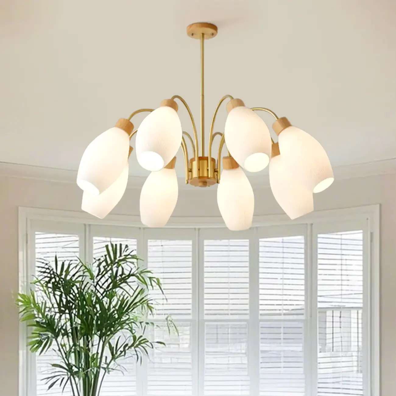 Modern Adjustable White Chandelier with Glass Shades Image - 2 | homeyfad