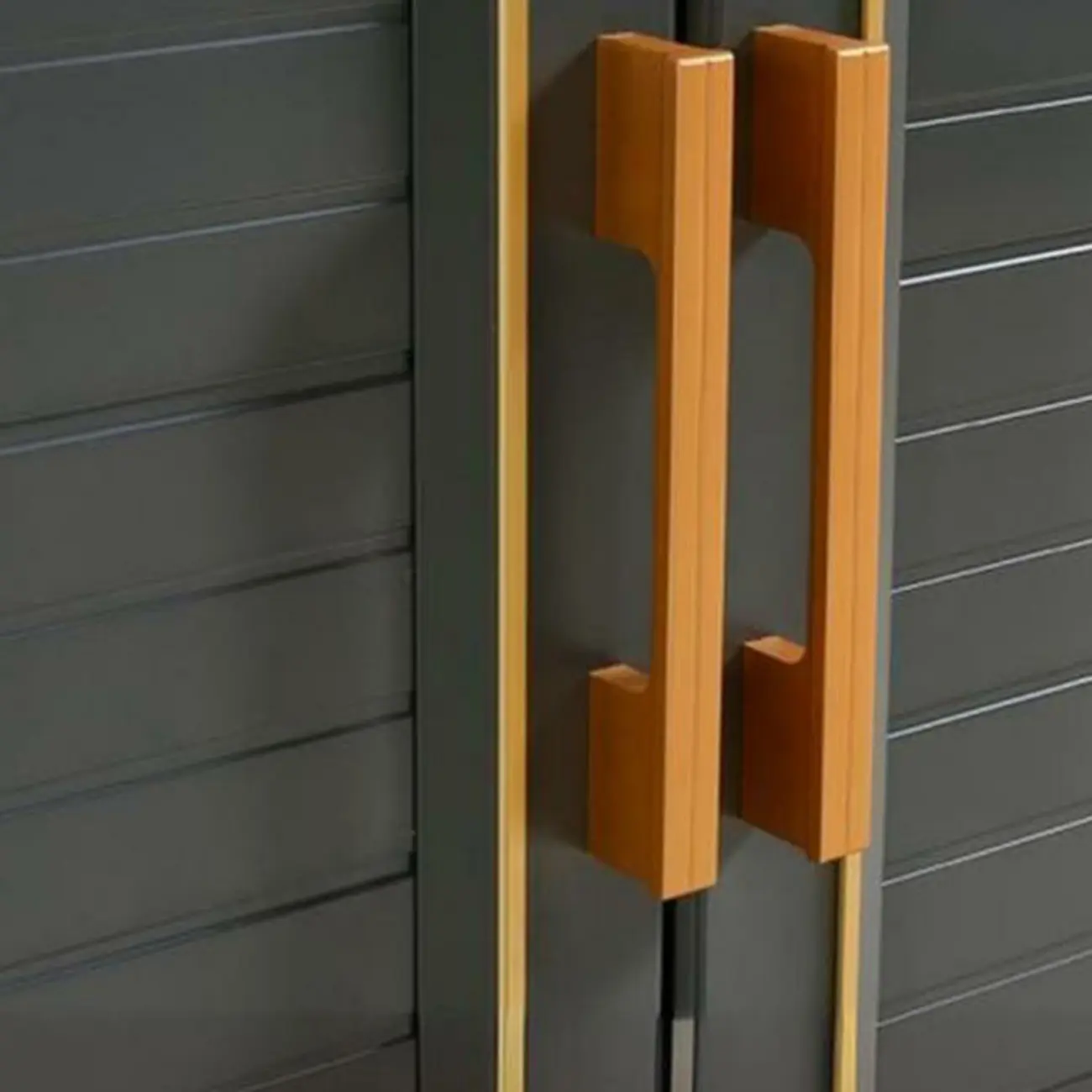 Luxury Grey Metal Entryway Shoe Cabinet with Gold Trim Image - 5 | homeyfad