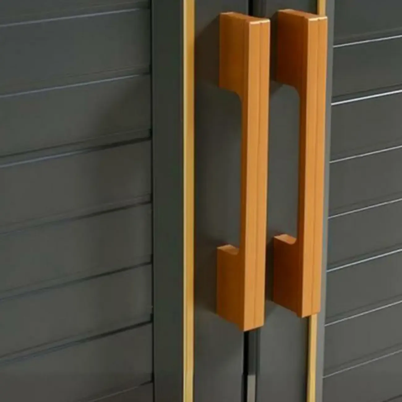 Luxury Grey Metal Entryway Shoe Cabinet with Gold Trim Image - 5