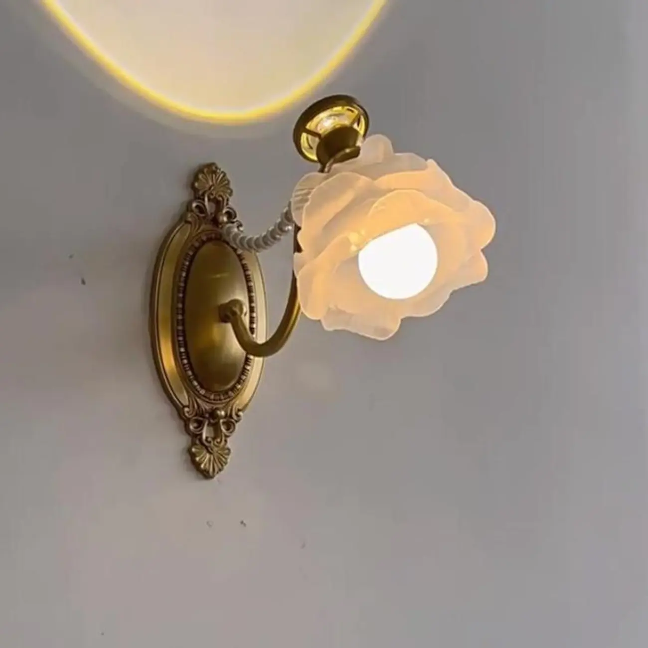 Hardwired Modern Floral Glass LED Wall Sconce with 2-Light | homeyfad