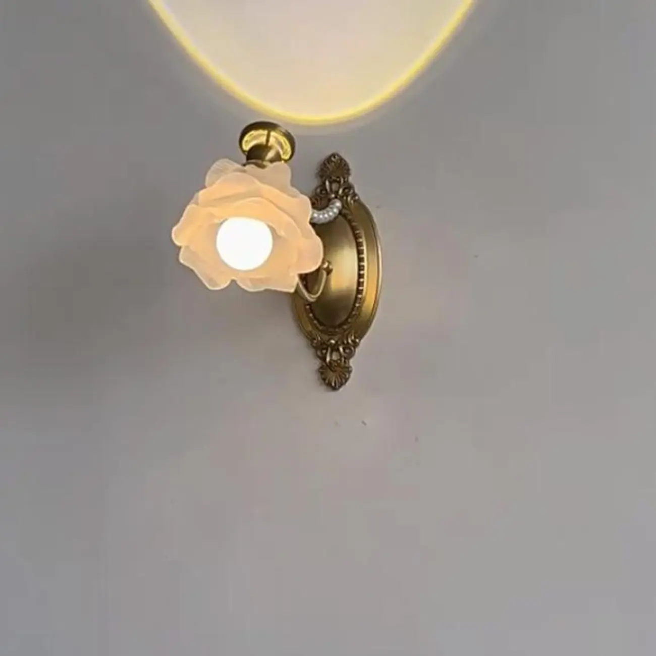 Hardwired Modern Floral Glass LED Wall Sconce with 2-Light | homeyfad