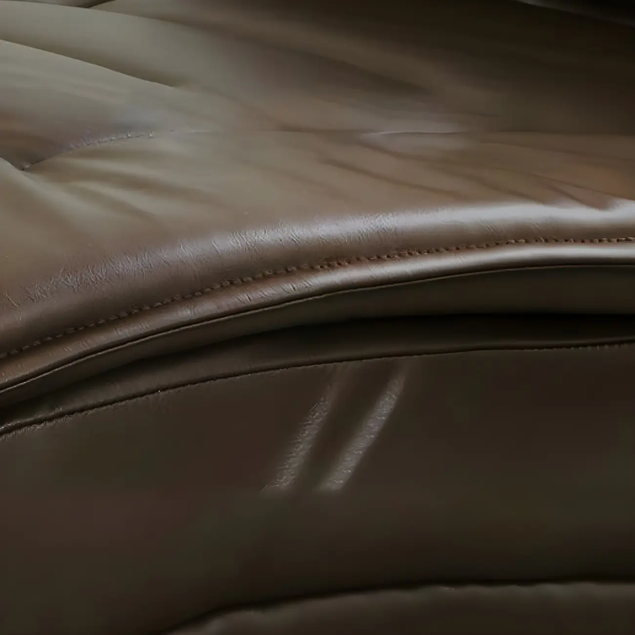 Traditional Adjustable Faux Leather Chaise Lounge for LivingRoom Image - 9 | homeyfad
