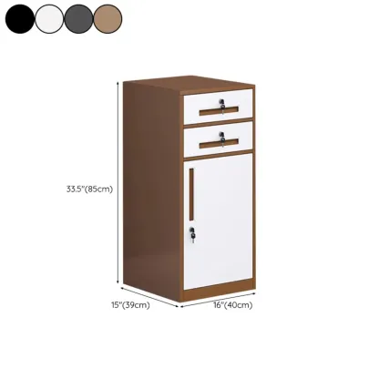 Stylish Steel Vertical Filing Cabinets with Fireproof for Office Image - 49