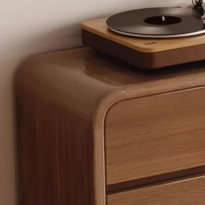 Modern Wood Hallway Medium Shoe Storage Cabinet Image - 12