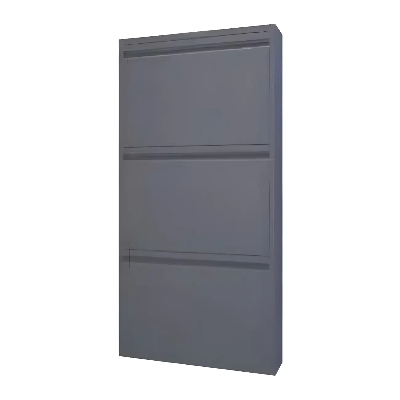 Grey Metal Entryway Wall Mounted Shoe Storage Cabinet Image - 13 | homeyfad