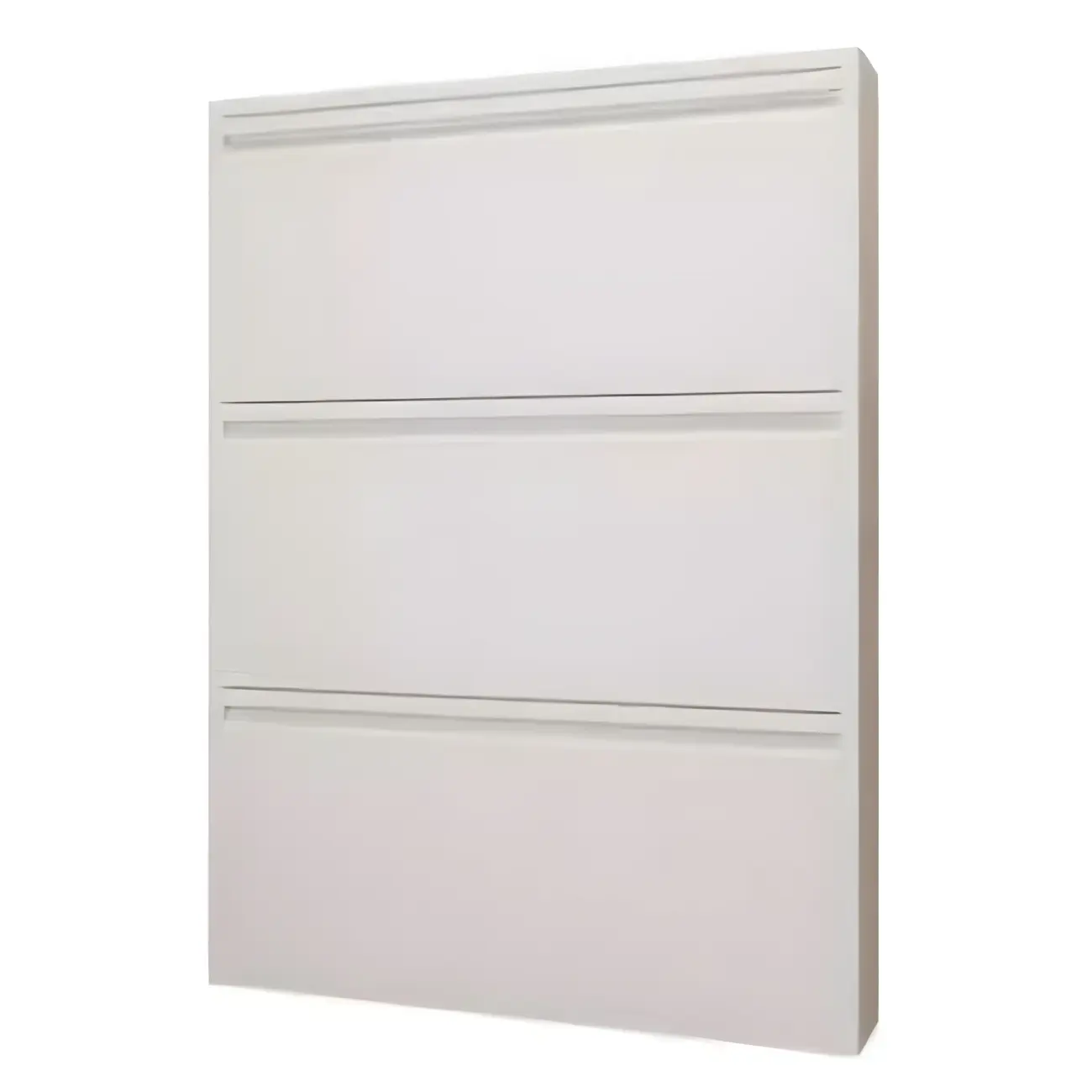 Grey Metal Entryway Wall Mounted Shoe Storage Cabinet Image - 19 | homeyfad