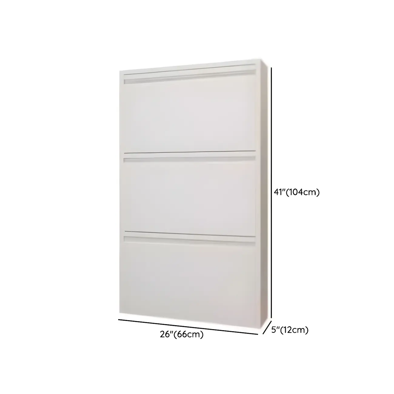 Grey Metal Entryway Wall Mounted Shoe Storage Cabinet Image - 26 | homeyfad