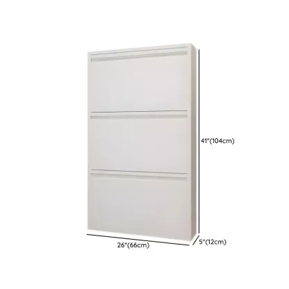Grey Metal Entryway Wall Mounted Shoe Storage Cabinet Image - 26