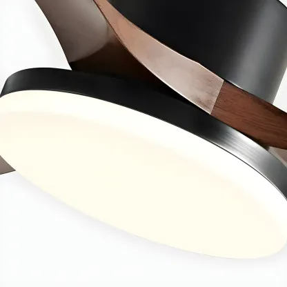 Modern Downrod Ceiling Fan Dimmable LED Light for Living Room