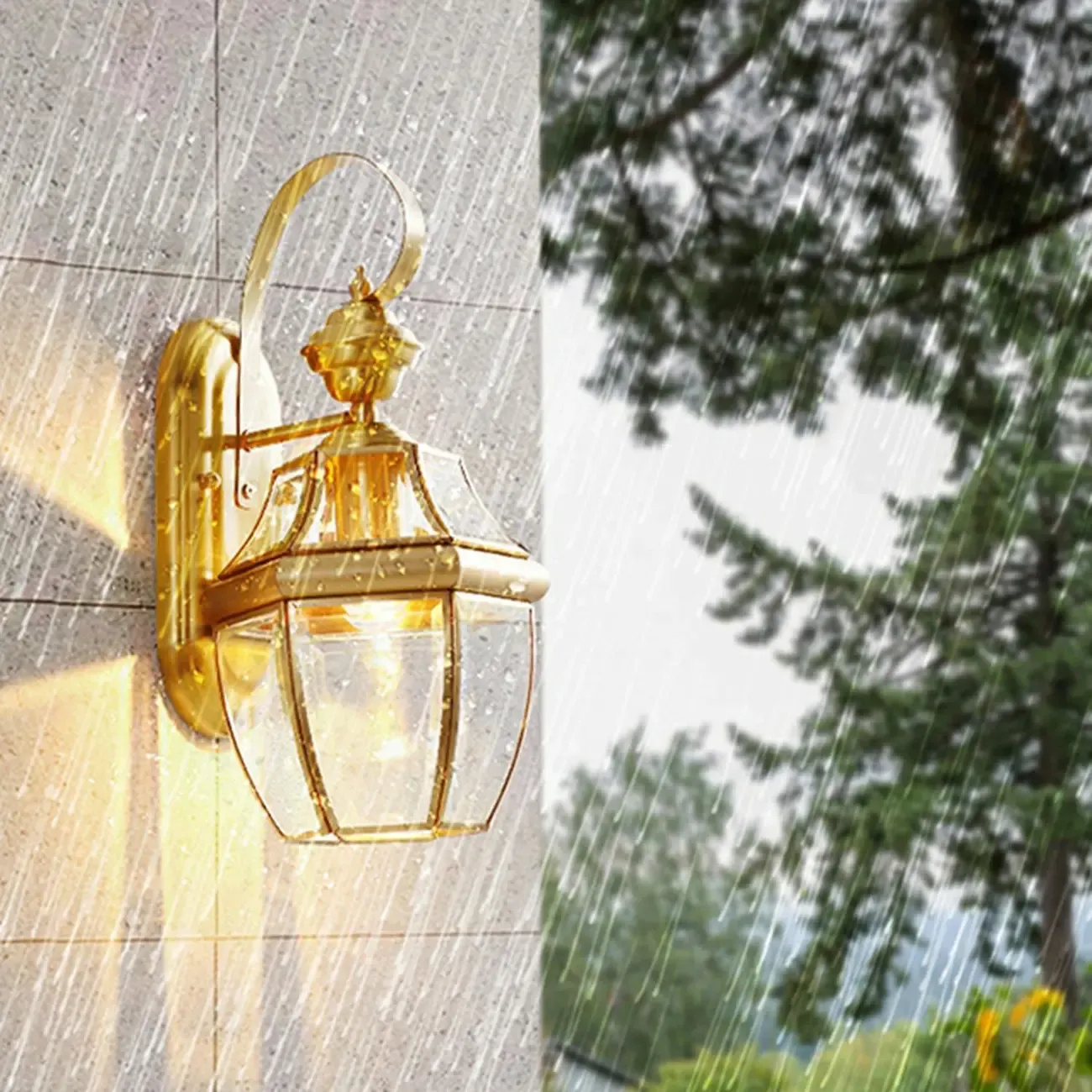 Modern Outdoor Use Iron Cage Shape Wall Mounted Light with Transparent Glass Shade Image - 7