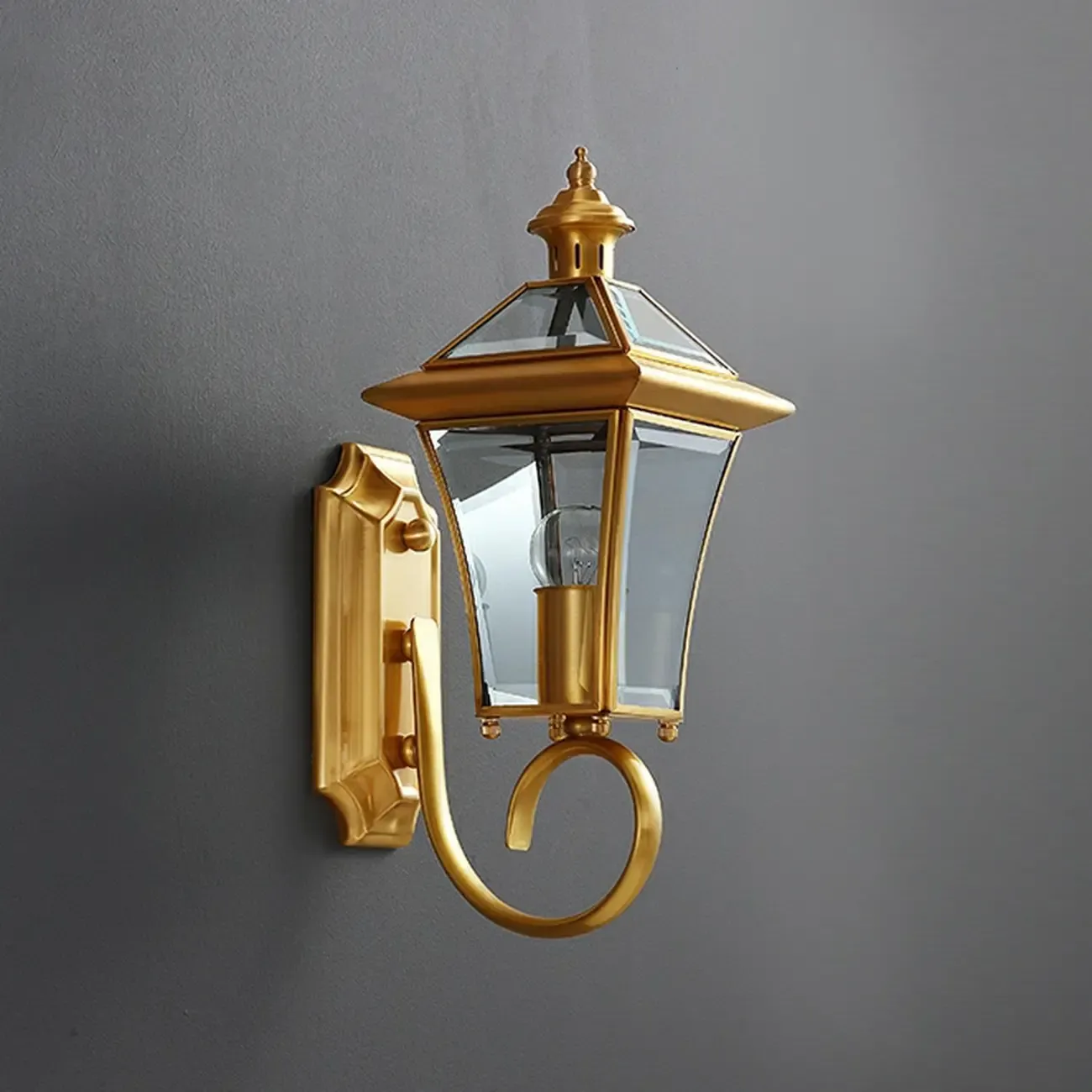 Modern Outdoor Use Iron Cage Shape Wall Mounted Light with Transparent Glass Shade Image - 8