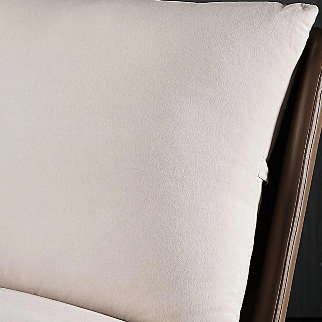 Modern Leather Armless Chair with High Pillow Back Image - 11 | homeyfad