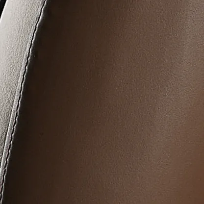 Modern Leather Armless Chair with High Pillow Back Image - 21